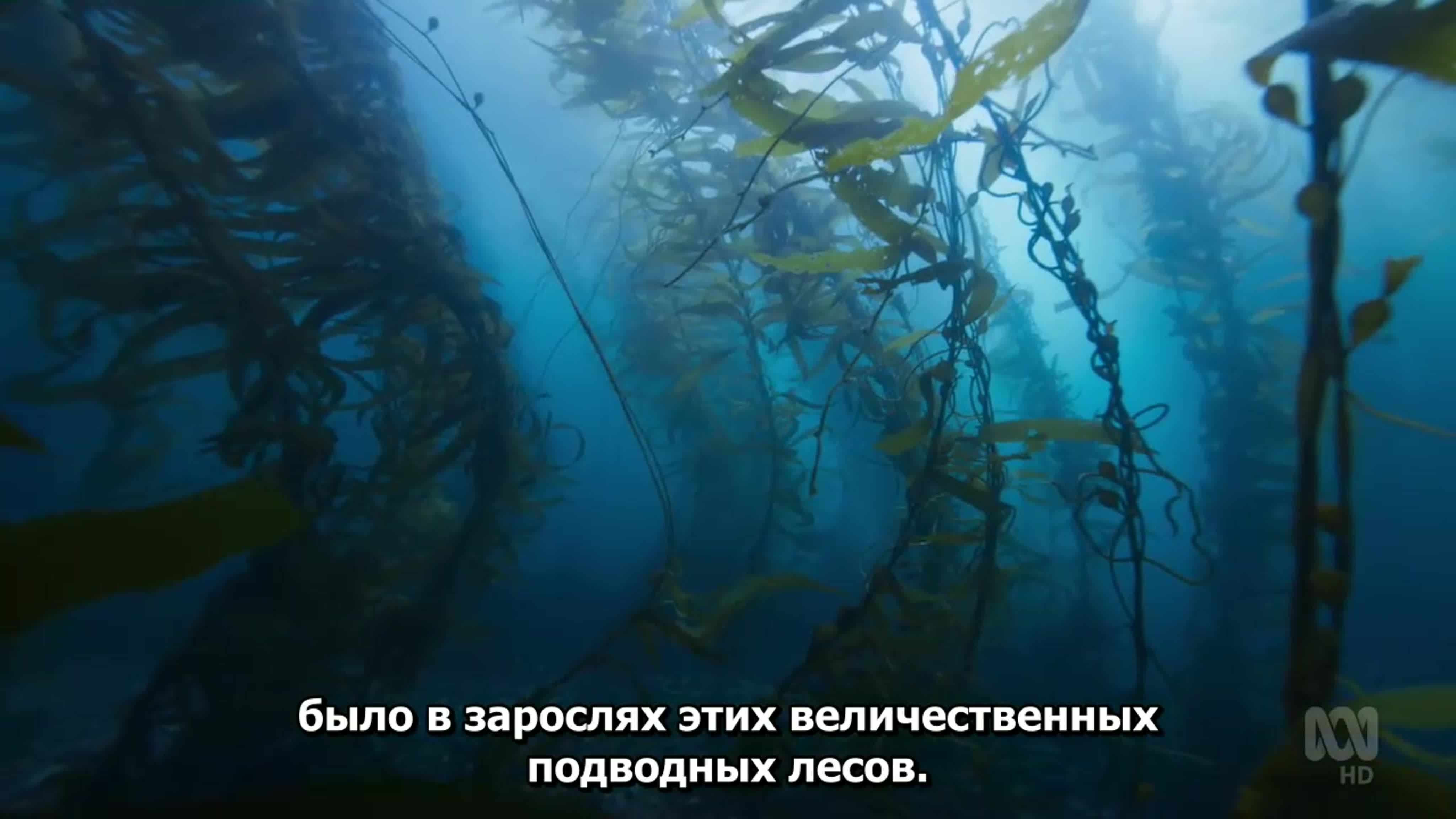 Австралийская океанская Одиссея.AU