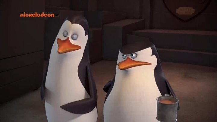 Пингвины из Мадагаскара