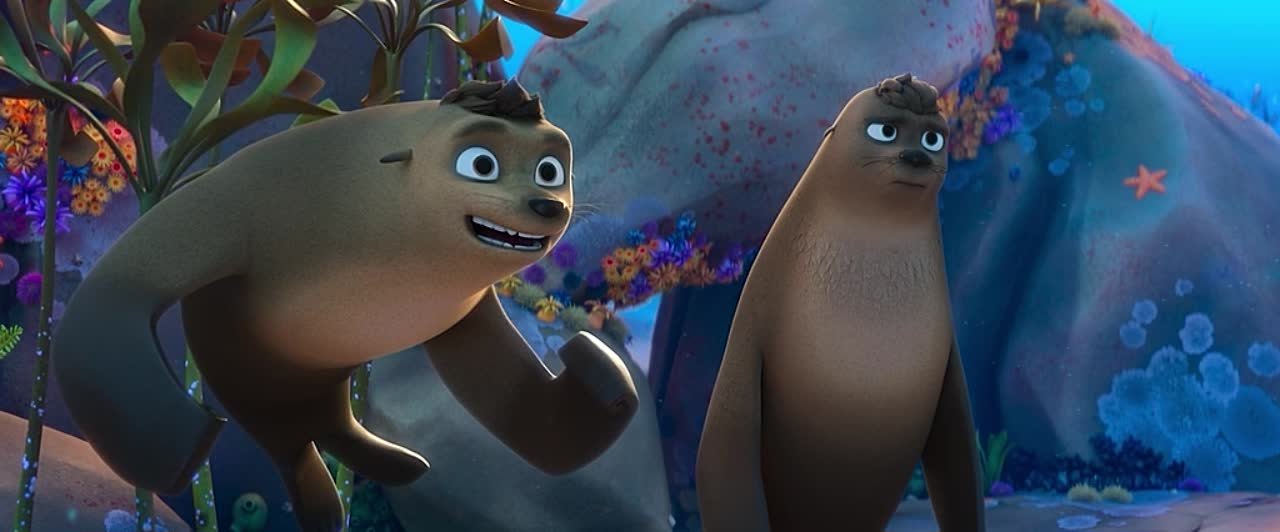 команда котиков