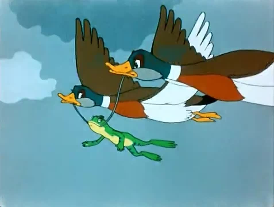 лягушка путешественница