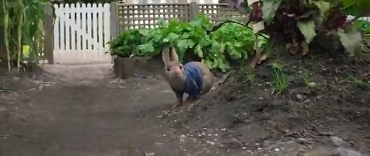 Кролик Питер 2018