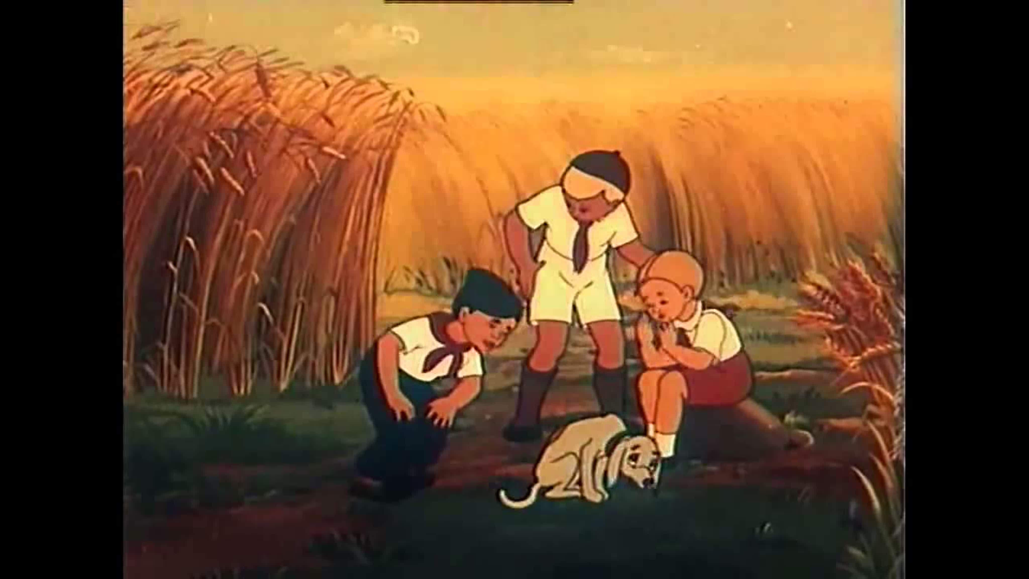 часовые полей