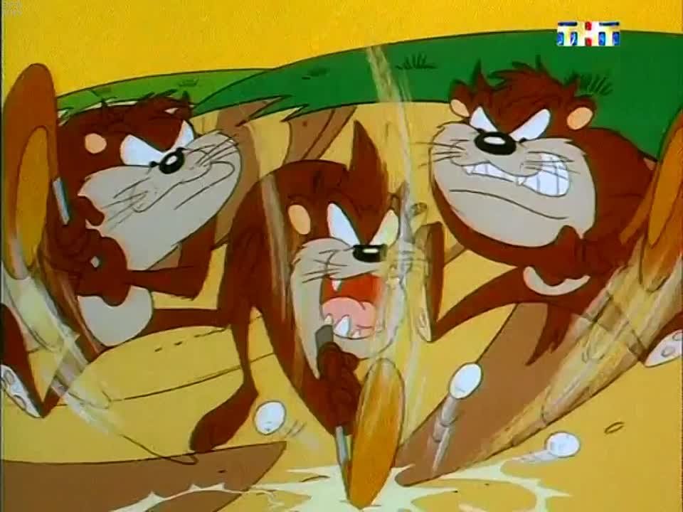 тасманский дьявол