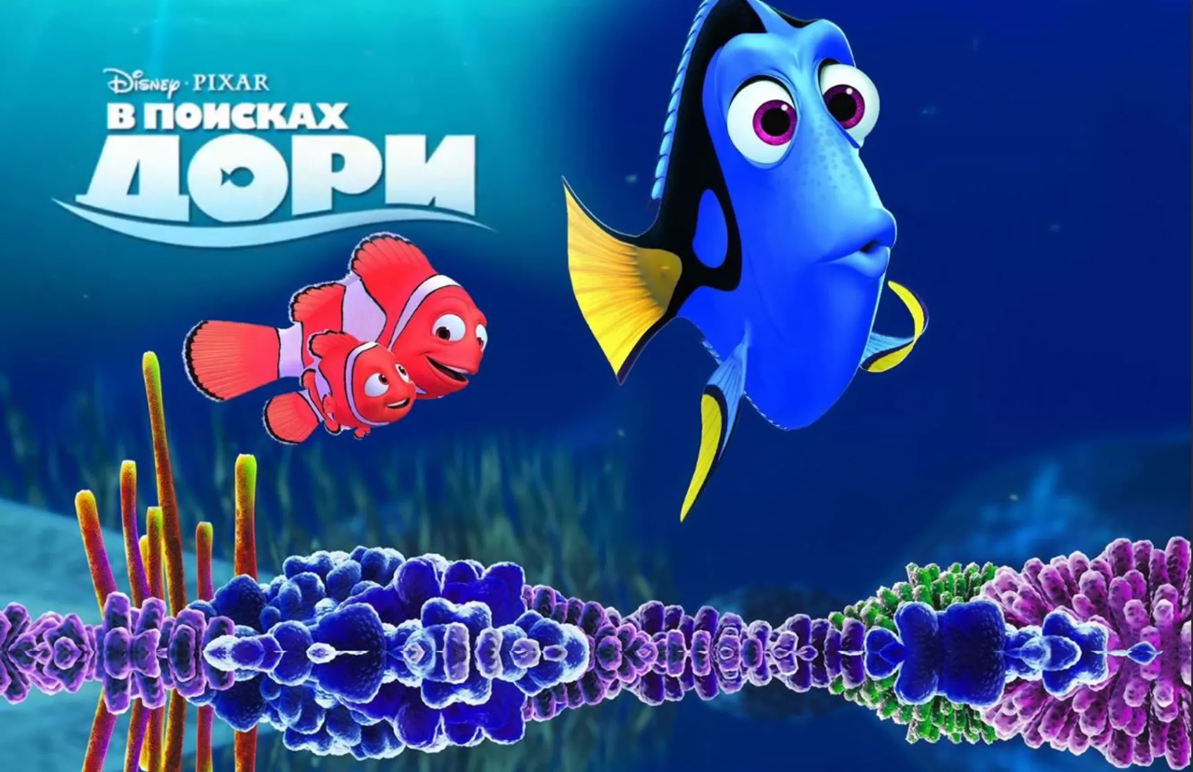 в поисках дори