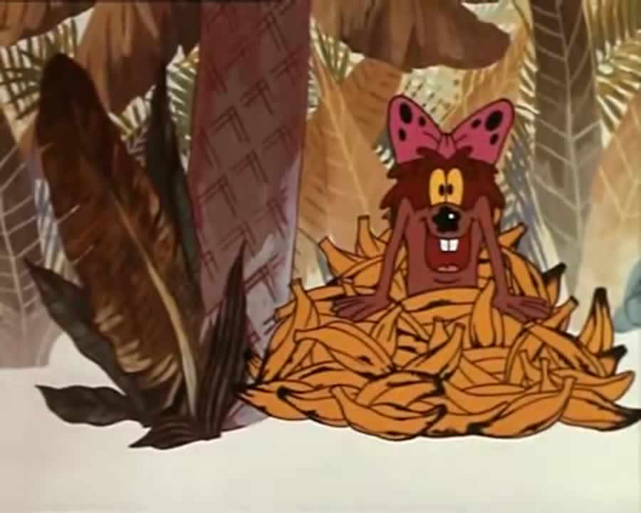 дом для леопарда