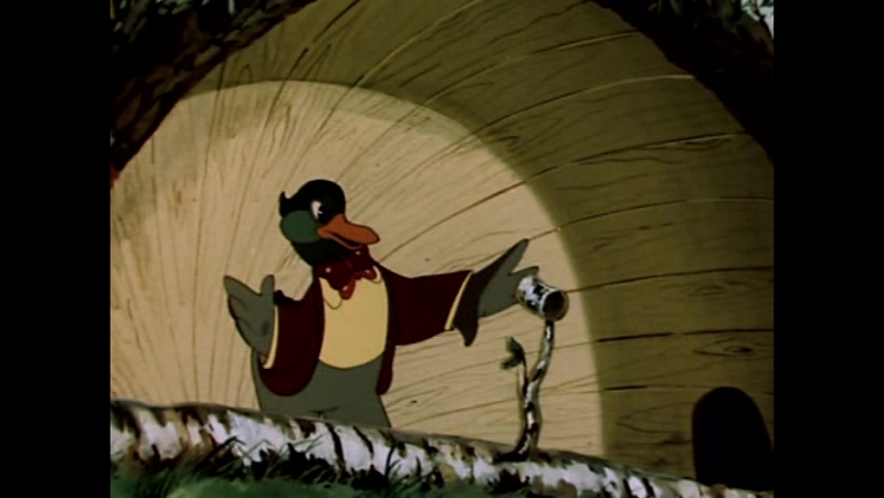 на лесной эстраде