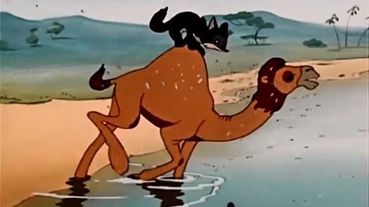 шакаленок и верблюд