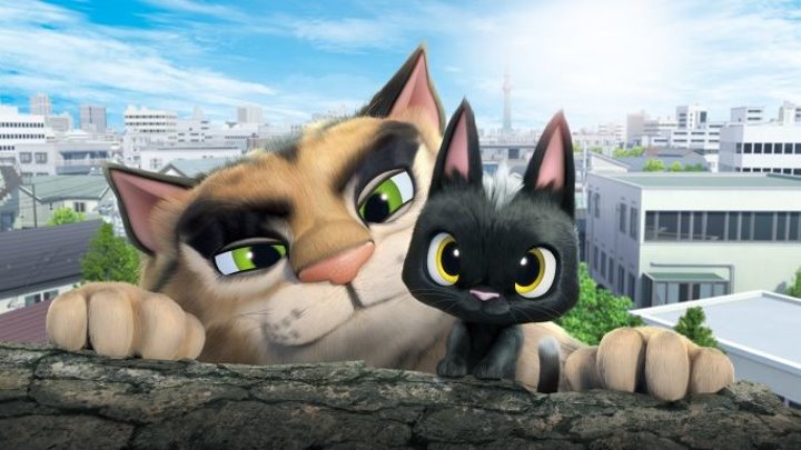 жил был кот