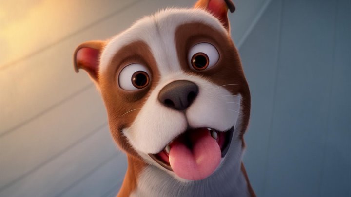 мультфильм Сepжaнт Стaббu 2019