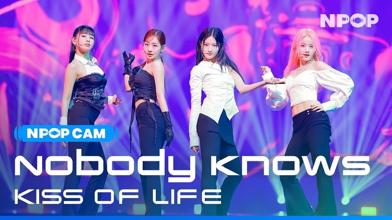 • Фанкамы (музыкальные шоу)