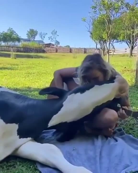 новое - разное видео...