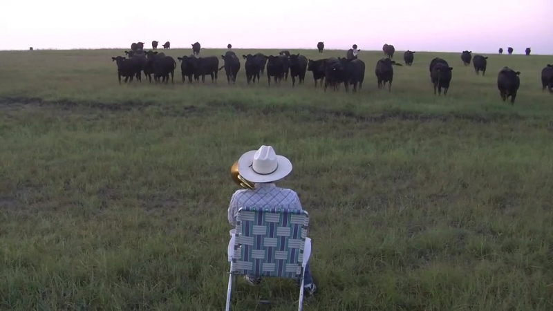 История наука или вымысел