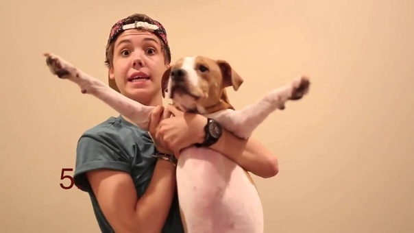 ☆ Перевод и озвучка.