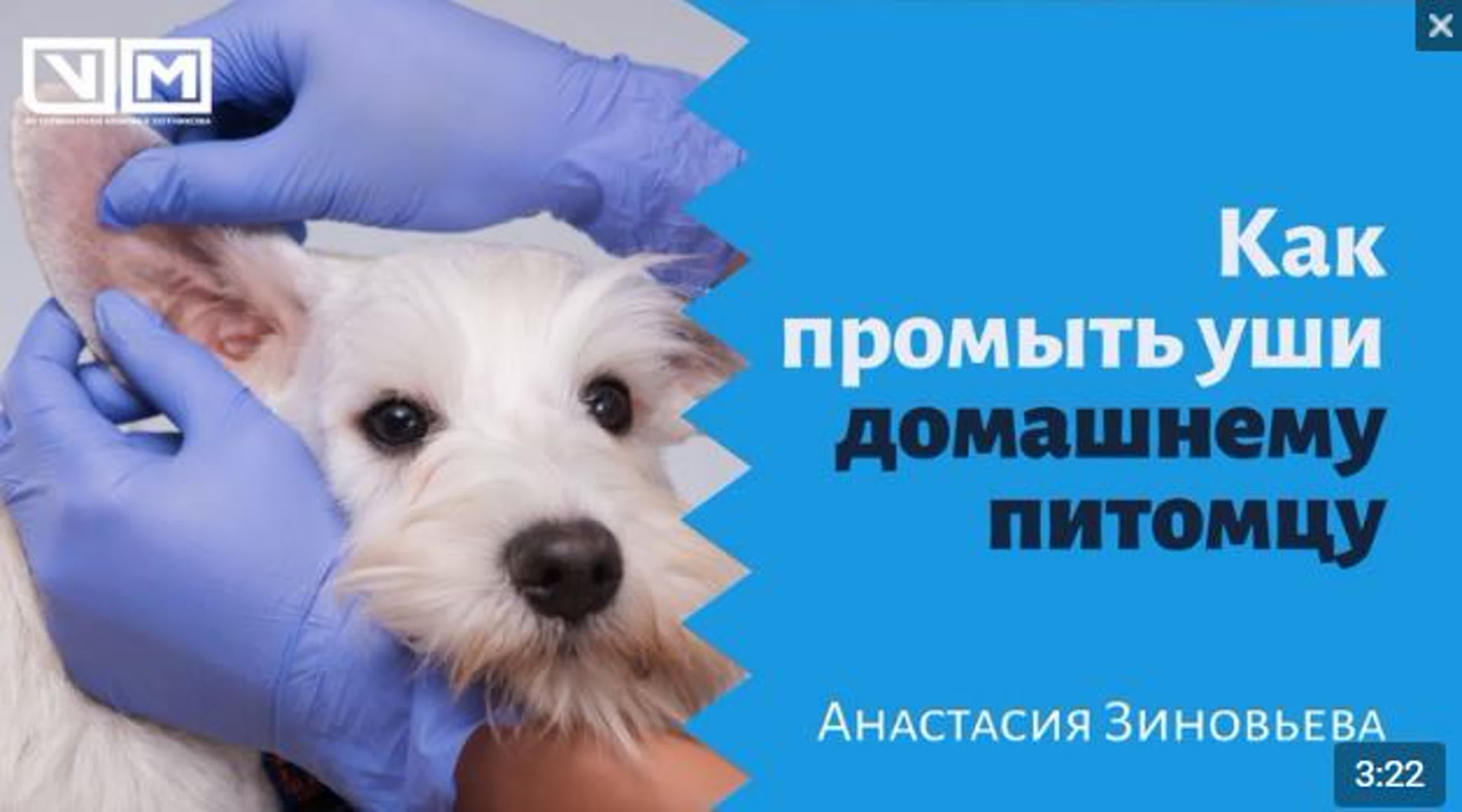 Азбука счастливого собаковода