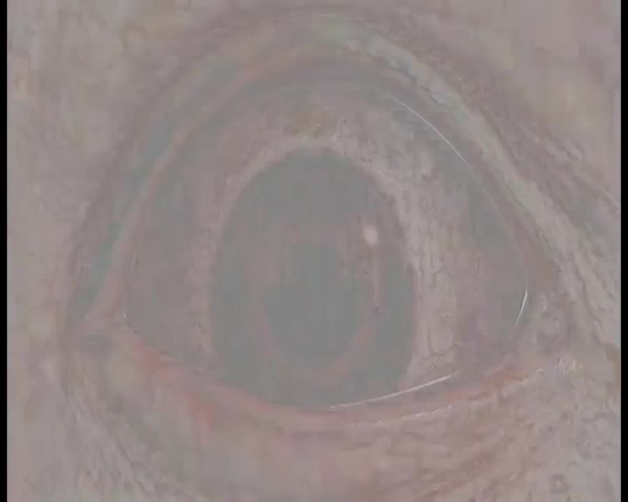 Theatre - Veronika Room