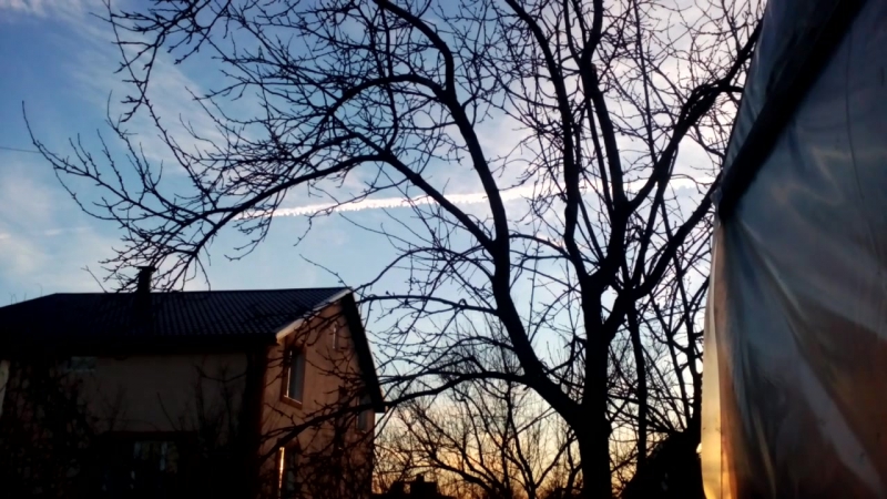 Живые картинки. Наш сад)