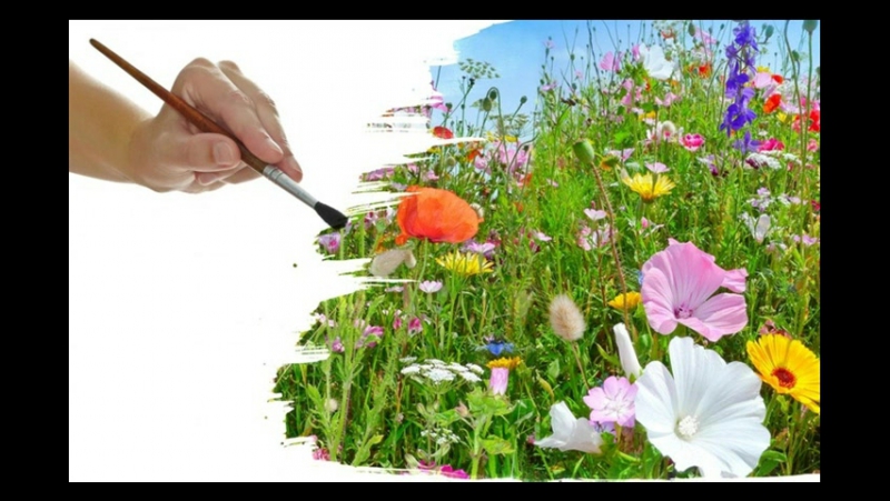 10cc  Billy Joel MoSHkin