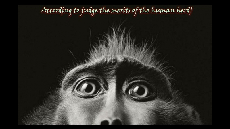 Герман Гессе Hermann Hesse I