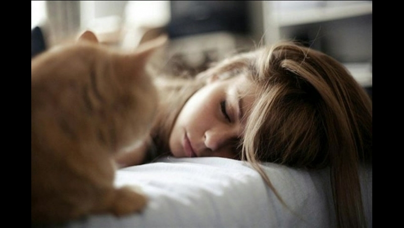 Виктор Платонович Некрасов I