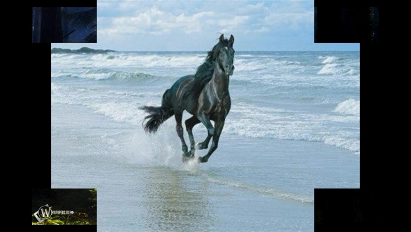 Василий Андреевич Жуковский I