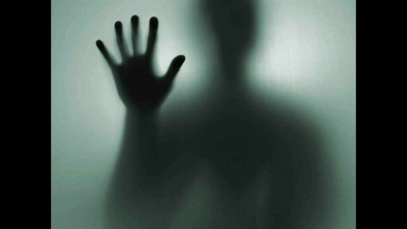 Артур Шопенгауэр Arthur Schopenhauer I