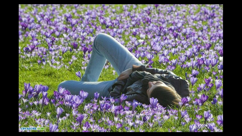 Антуан Де Сент-Экзюпери