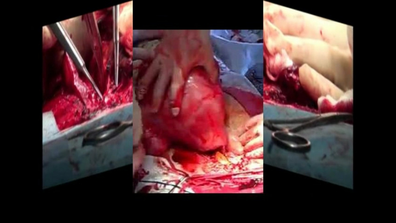 Александр Романович Беляев I