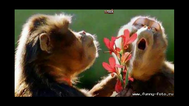 Широка страна моя родная 2016