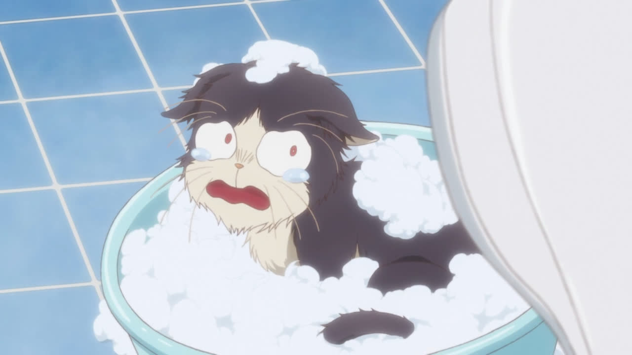 Кошечка, сидящая у меня на голове / Doukyonin wa Hiza, Tokidoki, Atama no Ue