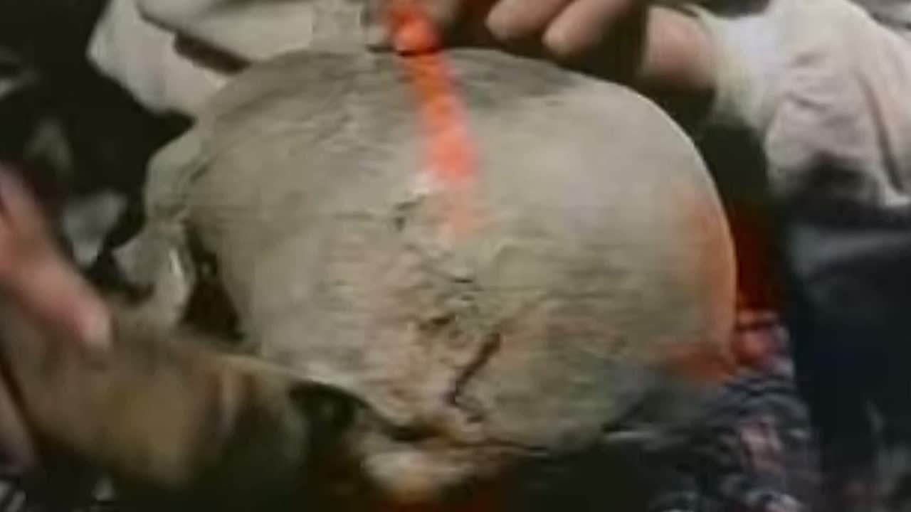 DUCKBOY: tragic love songs to study to [vol. 5]