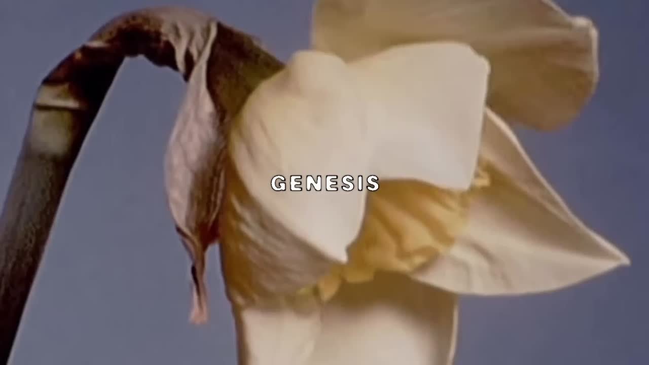 Sing Me a Lullaby, My Sweet Temptation