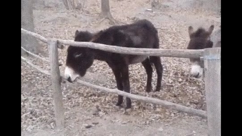 Планета земля