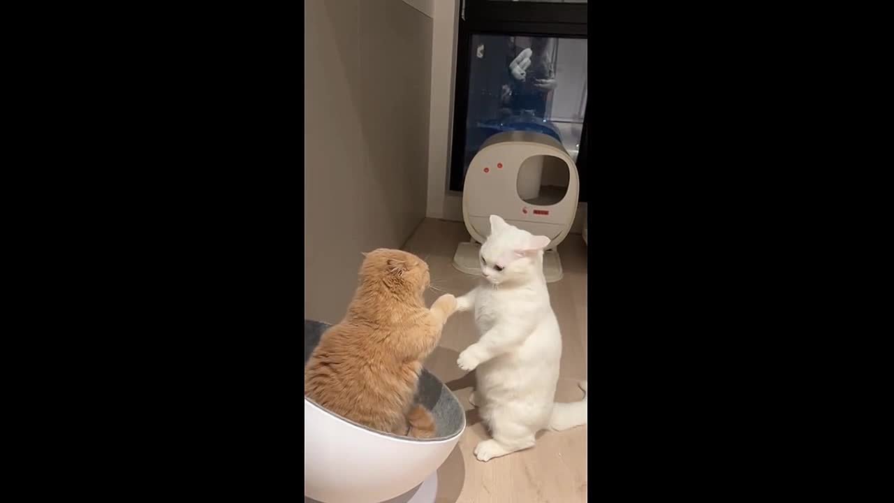 Аниме под музыку