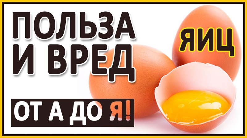 Птицеводство этичное