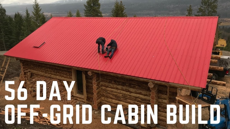 Жилища в дикой природе