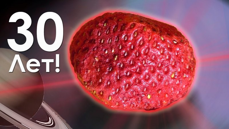 Сублимированные продукты