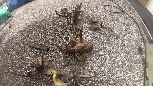 Аквариумные декорации (камни и коряги)