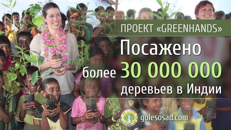 Лесничество