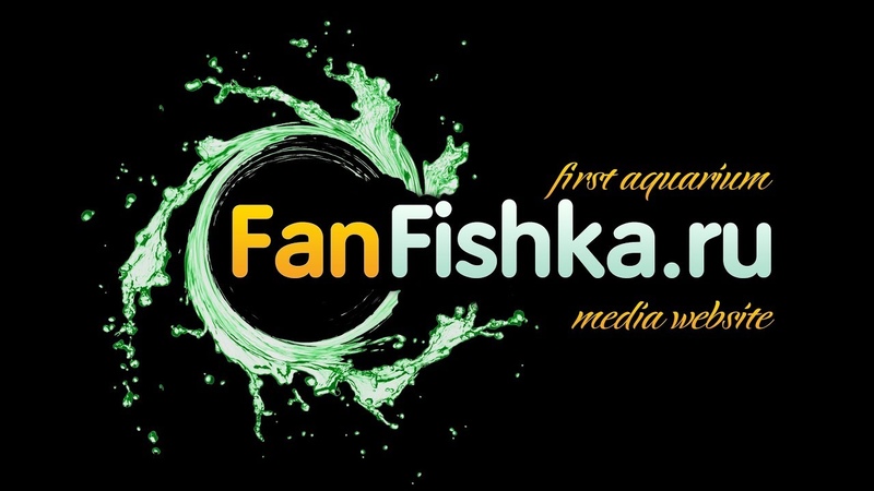 Производители аквариумов и аквариумного оборудования