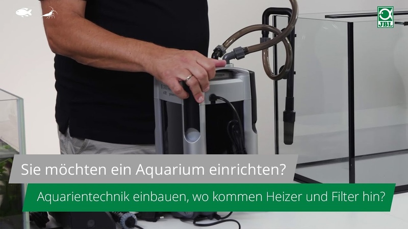 Начинающим аквариумистам