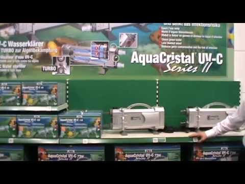 Аквариумные выставки и галереи