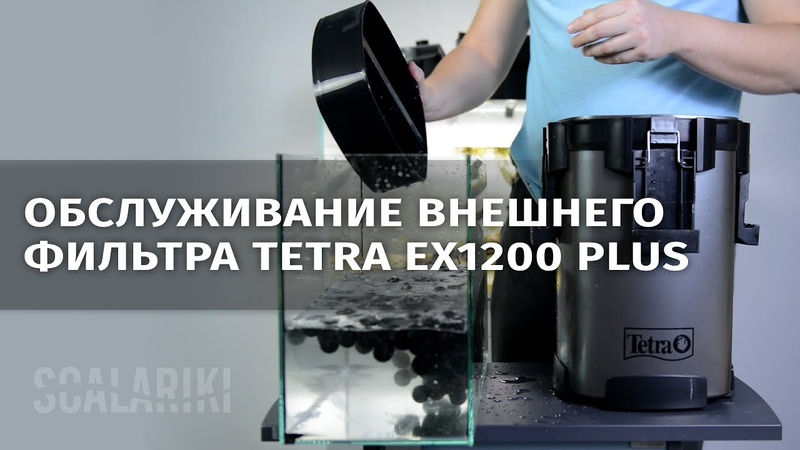 Обслуживание аквариума