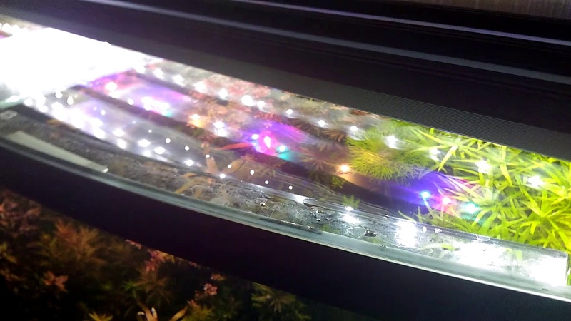 Аквариумное освещение
