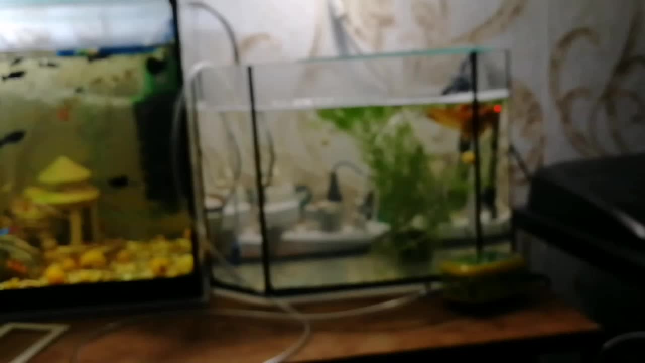 Прудовое оборудование