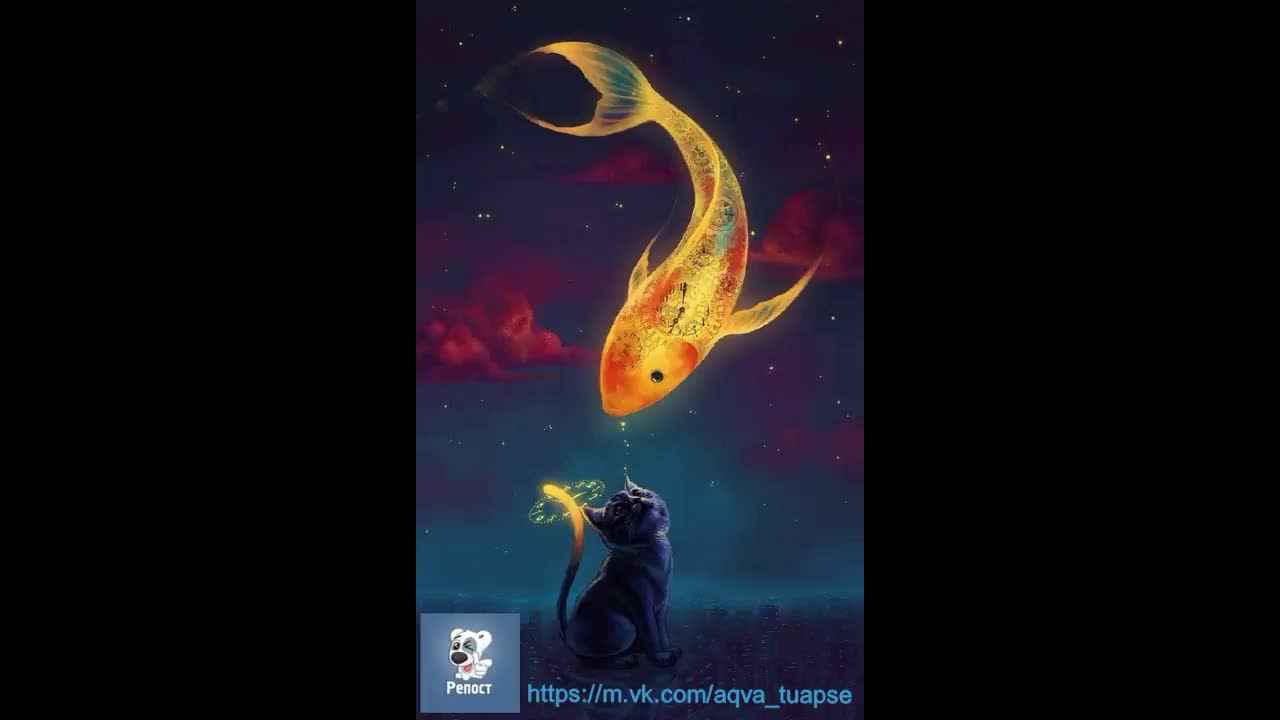 Видео и фотосъёмка аквариумов