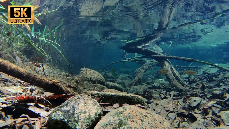 Биотоп: Австралия и Океания