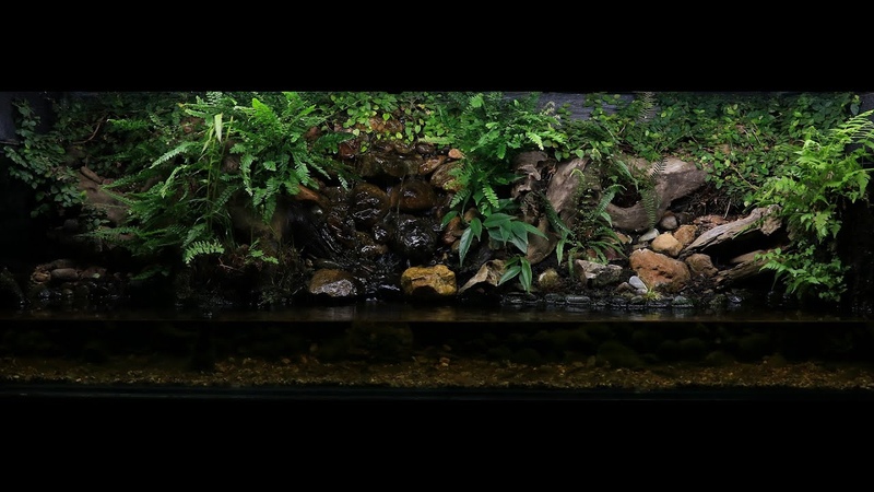 Палюдариум