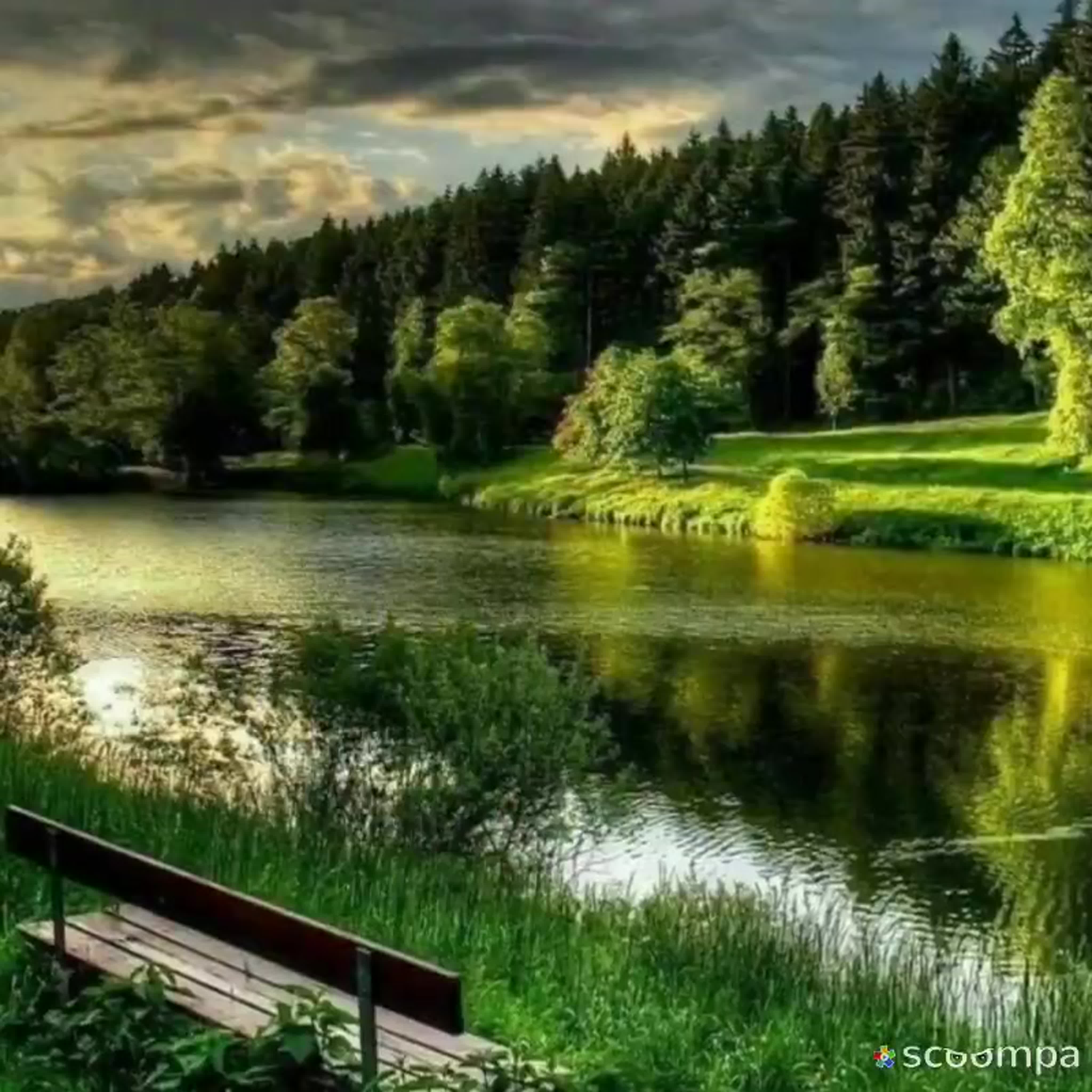 Доброта, нежность, тепло души...