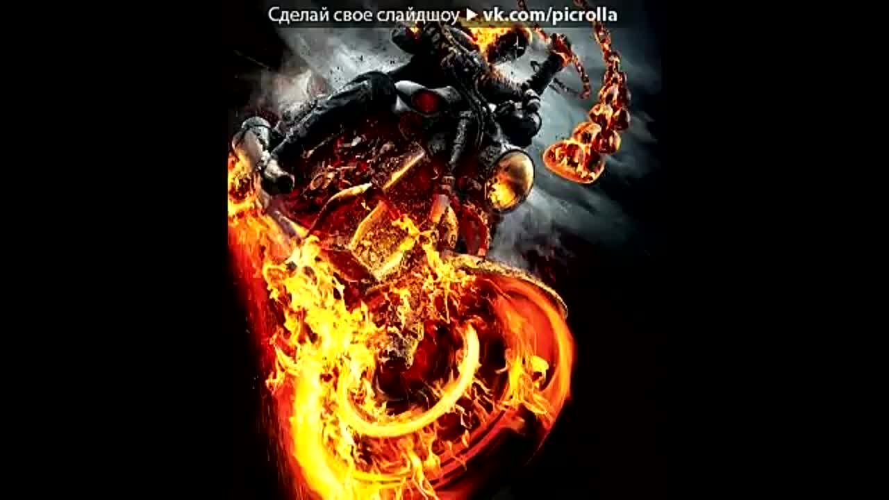 коты воители и ледибаг и супер кот