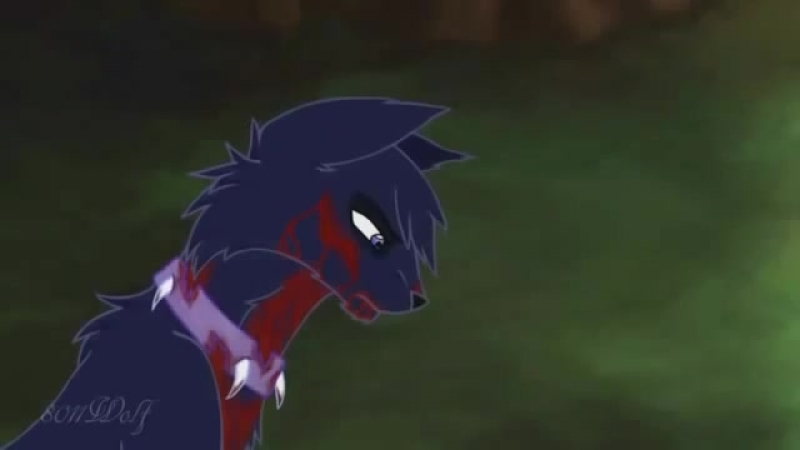 коты-воители